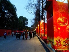 璀璨彩灯拉开“2026武侯祠大庙会”的序幕