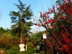 春风拂面花满园