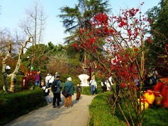 春风拂面花满园