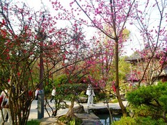 春风拂面花满园