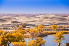 外出随拍（666）.