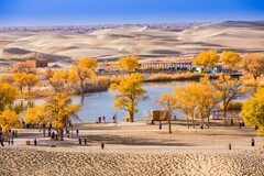 外出随拍（666）.