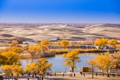 外出随拍（667）.