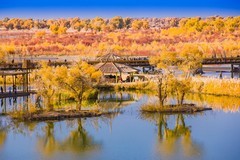 外出随拍（667）.