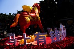 逛迎春花市（二）