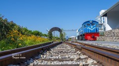 秦皇岛西港花园（4）