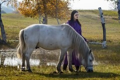 乌兰布统——温顺与柔情（7）