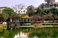手机游拍——三角公园（2）