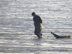 像黑白电影里的画面