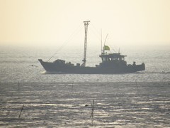 像黑白电影里的画面