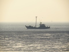 像黑白电影里的画面