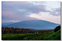 秋日夕阳（南德）