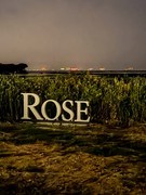 太湖游之--小西山景区