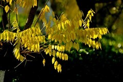 初冬——杂拍小品