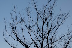 庐州印象（578）