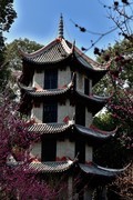 草堂探花【4】