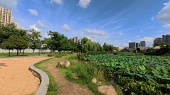 圭塘河【大疆远动相机拍】18