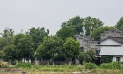 庐州印象（679）