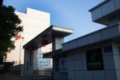 杂拍