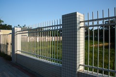 杂拍