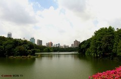 麓湖公园-2。