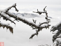 2025.3.17登梵净山（6）