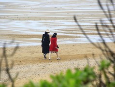 981【不老松：二游海南记实】长島蓝湾海边景！