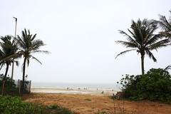 981【不老松：二游海南记实】长島蓝湾海边景！