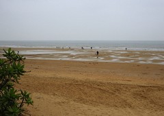 981【不老松：二游海南记实】长島蓝湾海边景！