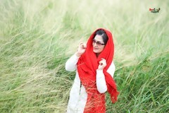 【冬日乱籽草美女】---木子