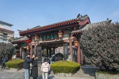 初春-趵突泉（3）