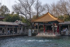 初春-趵突泉（3）