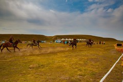 昭苏湿地公园跑马场7