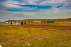 昭苏湿地公园跑马场7