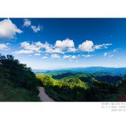 路上风景（手机）