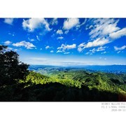 路上风景（手机）