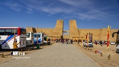 黑水城的胡杨（1）