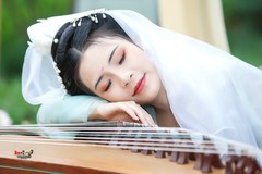 【清纱醉筝·一枕琴思】---佳佳