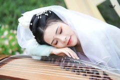 【清纱醉筝·一枕琴思】---佳佳