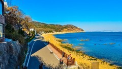 立 冬 后 的 棒 棰 岛 国 宾 馆 景 区