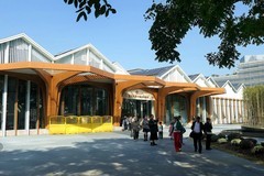 沙湖公园菊花展一