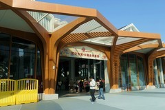 沙湖公园菊花展一