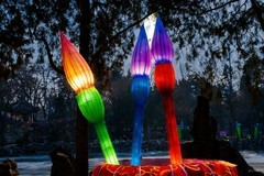 灯展—2(马年到-祝广大影友马年吉祥，万事如意，阖家幸福)