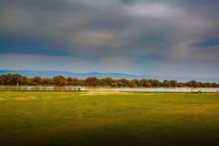 昭苏湿地公园跑马场8