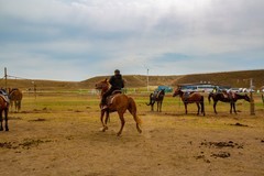 昭苏湿地公园跑马场8