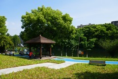 初夏小河边（续1）