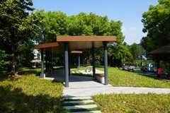 初夏小河边（续1）