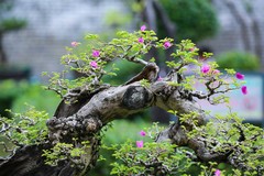 135还是适合拍MM下雨了都淋回家了