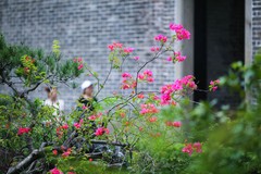 135还是适合拍MM下雨了都淋回家了