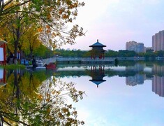 1914《不老松：纪实摄影》天空之镜拍：大美沧州：人民公园！